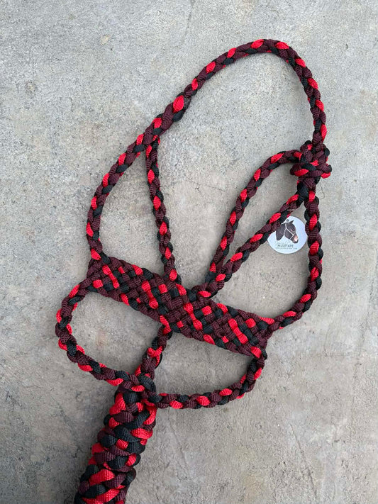 Burgundy, Red & Black Brute