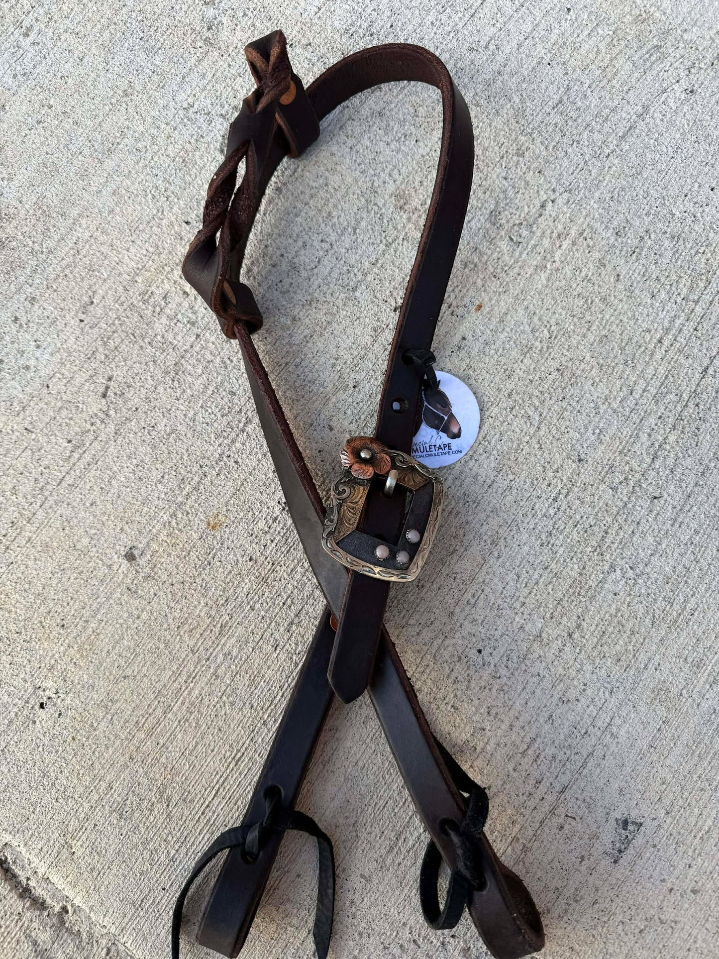 RR Headstall-Whitney (Matte)