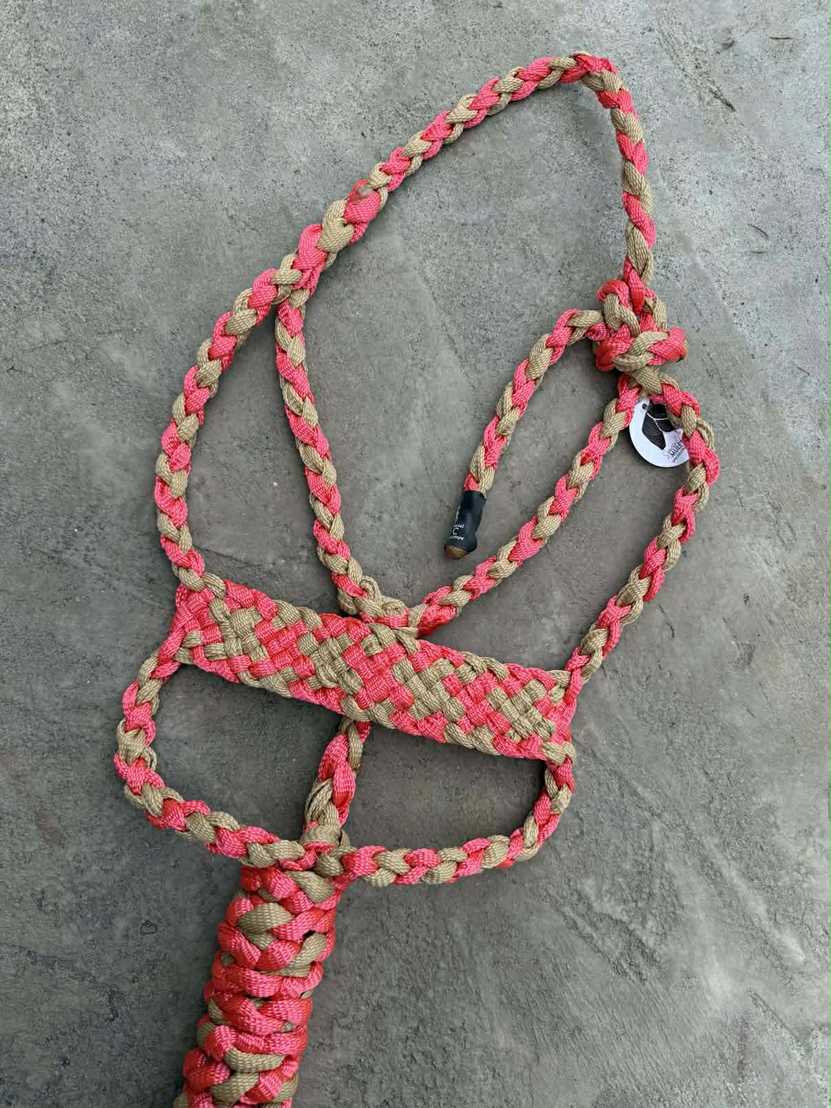 Neon Pink & Sand Brute