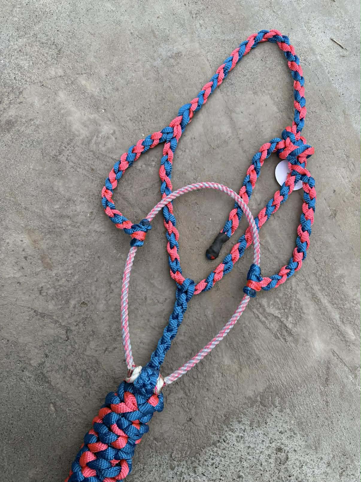 Neon Pink & Royal Blue Lariat