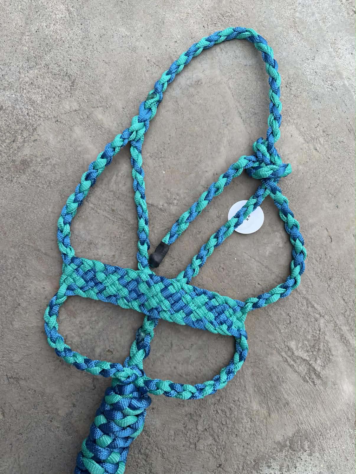 Teal & Royal Blue Brute