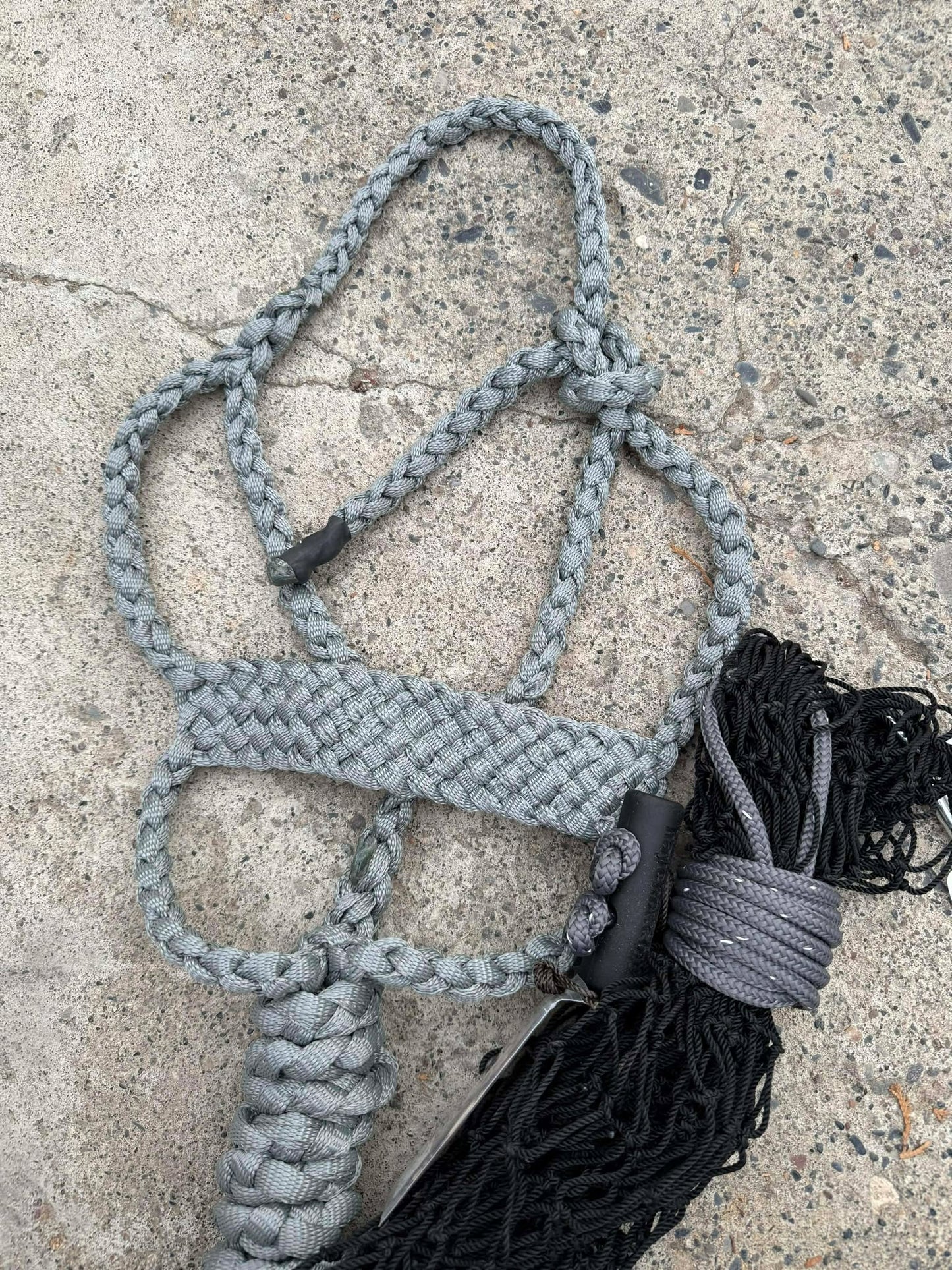 Brute Halter & Hay Net Bundles