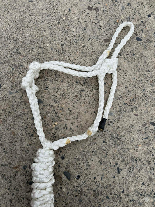 White Bronc Halter