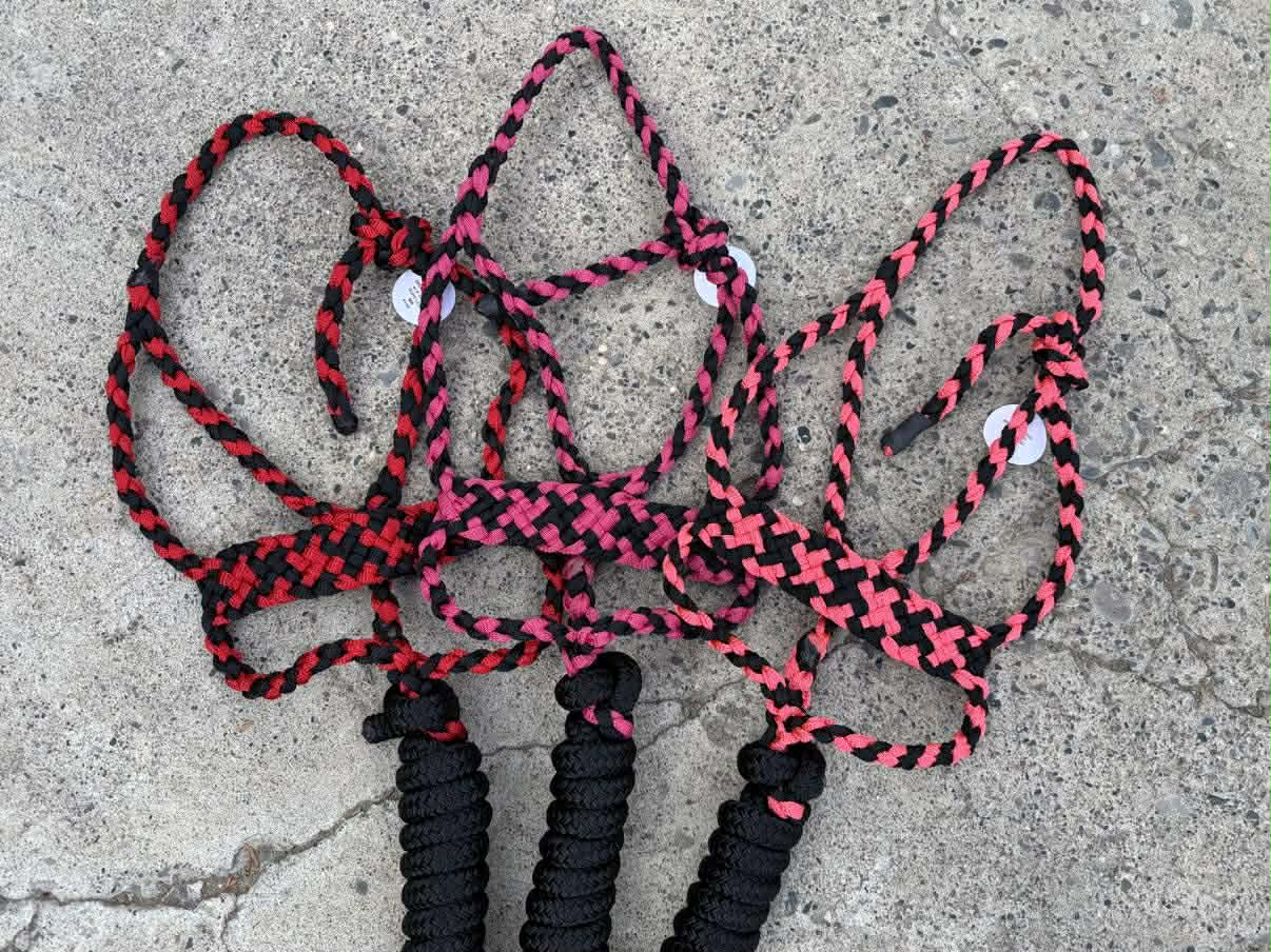 Brute Halters w/ Yacht Rope Leads