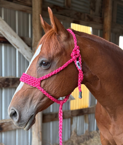 **NEW**Fuchsia Brute