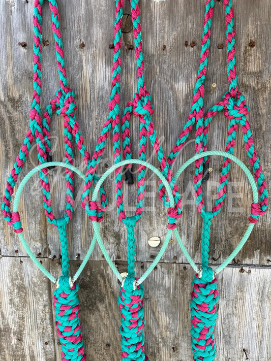 Teal & Fuchsia Lariat Halter