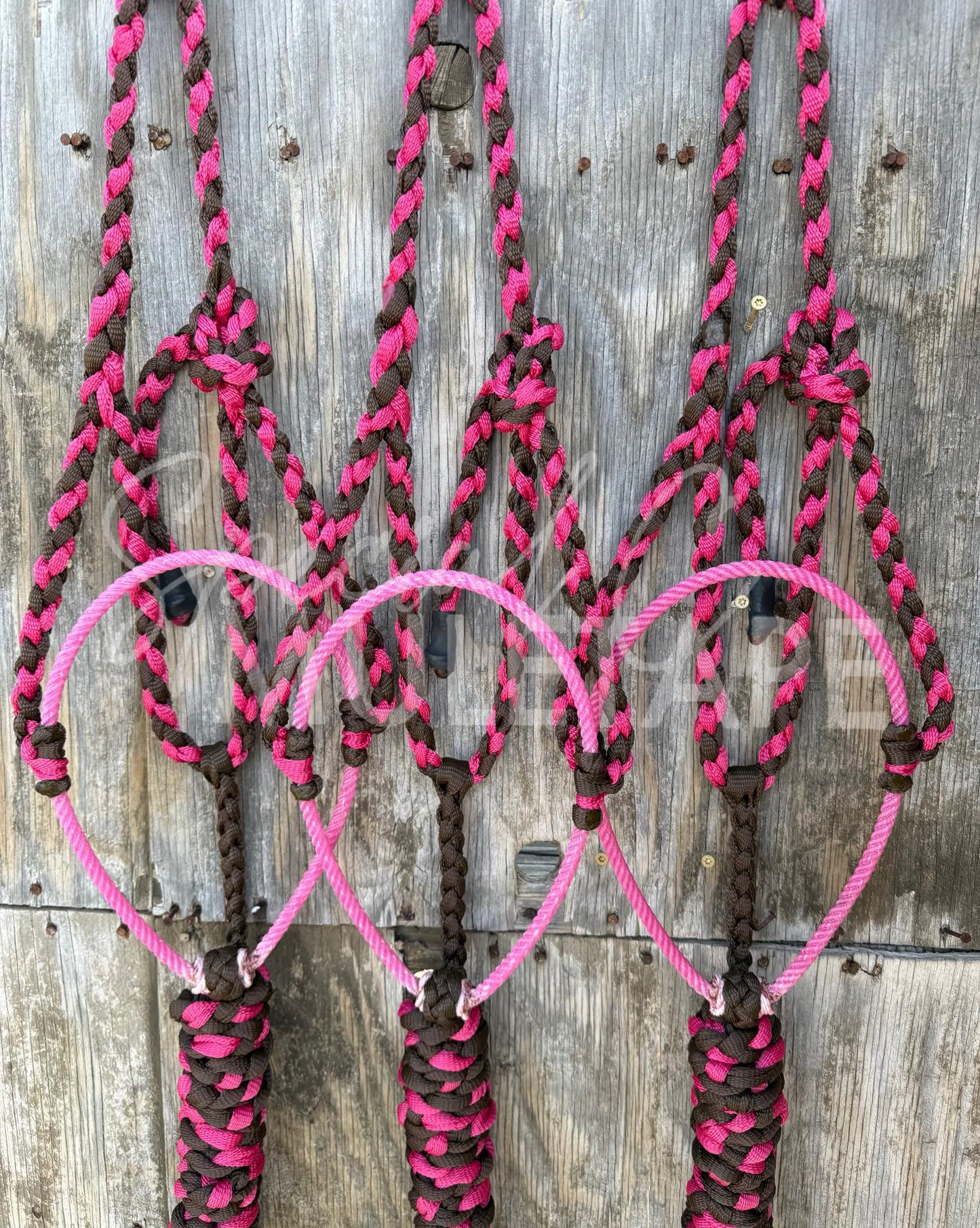 Chocolate & Fuchsia Lariat Halter