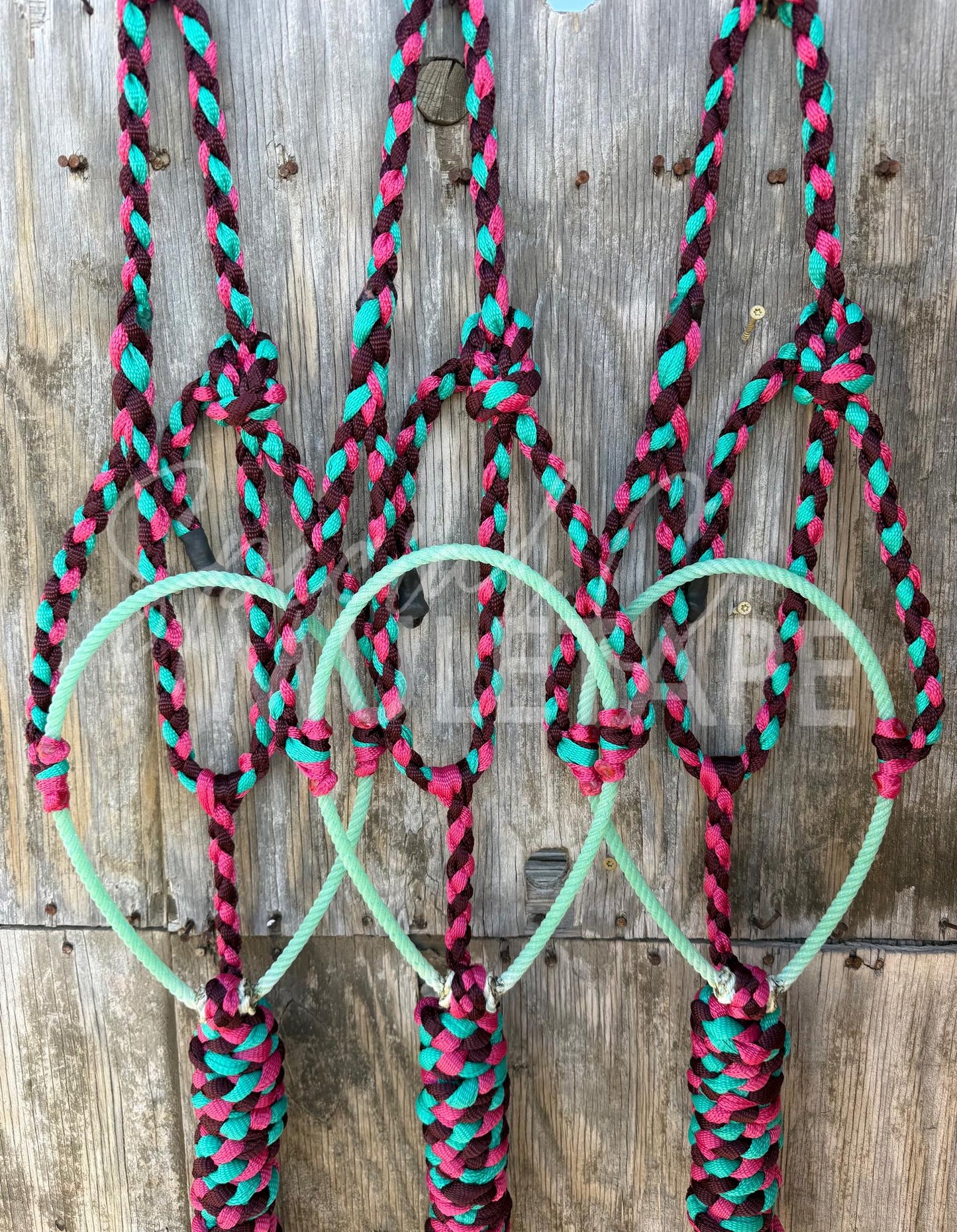 Burgundy, Teal & Fuchsia Lariat Halter