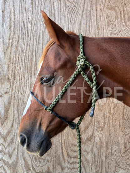 Funky Noseband Sale