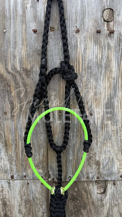 Color Pop Lariat Halter Collection