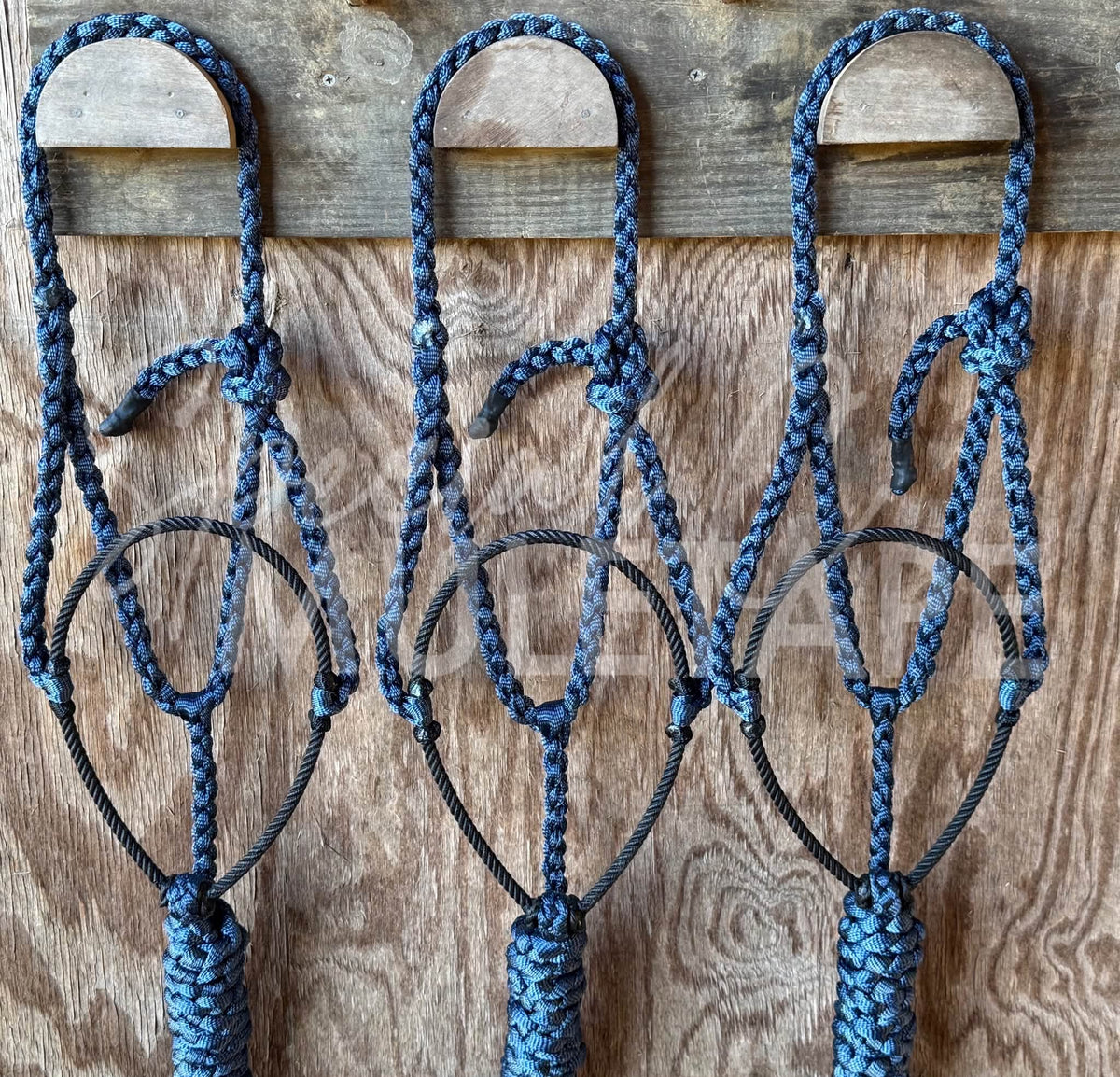Blueberry Lariat Halter