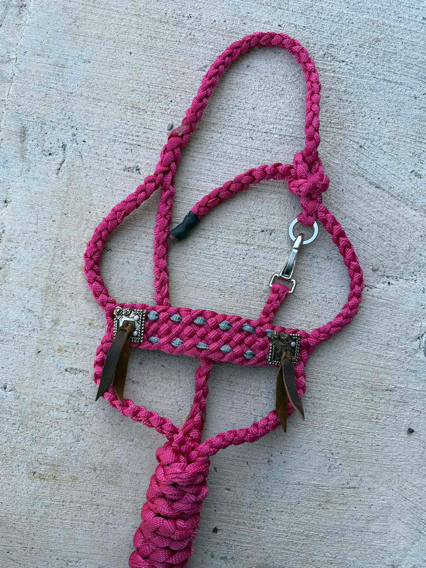 Rowdy Rose Concho Halters