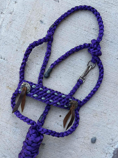 Rowdy Rose Concho Halters