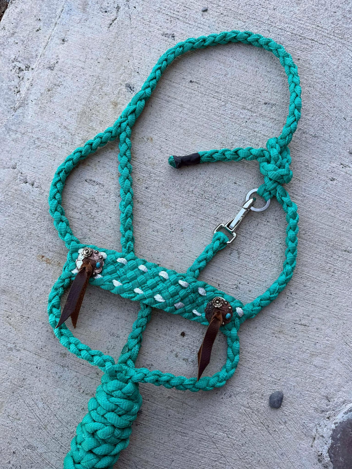 Rowdy Rose Concho Halters