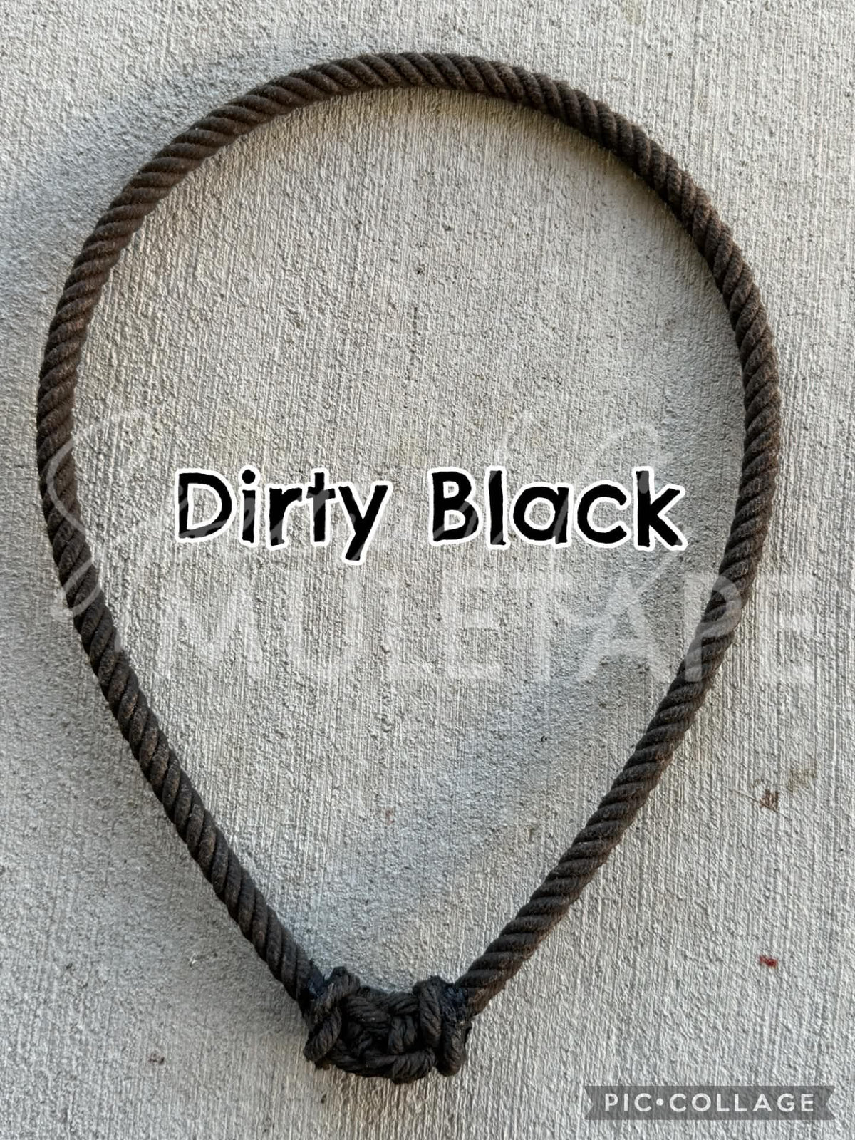 Funky Noseband Sale