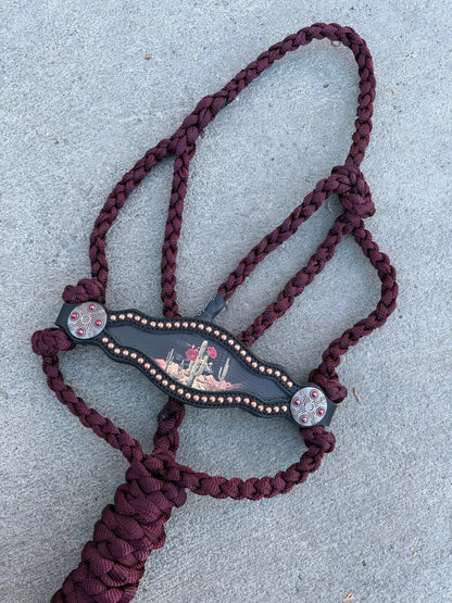 Desert Rose Equine Bronc Halters