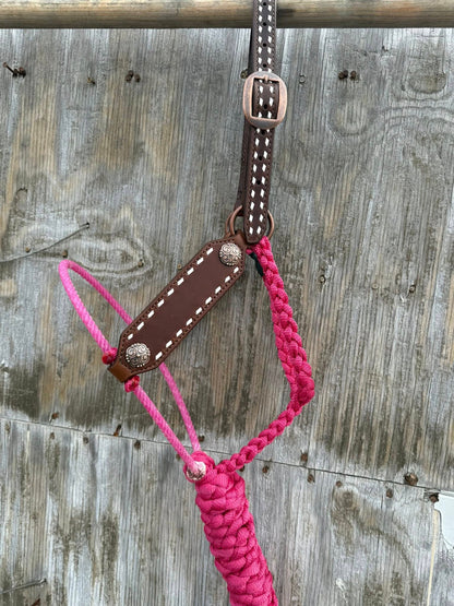 SSCL Leather & Lariat Halters w/ Buckstitching