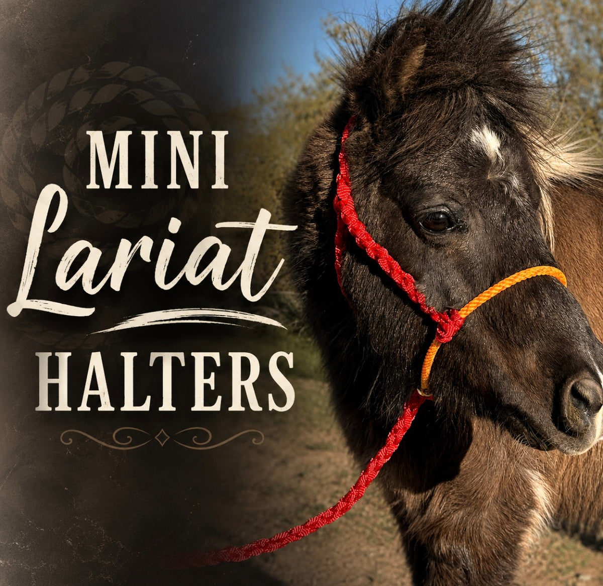 CUSTOM Mini Lariat Halter