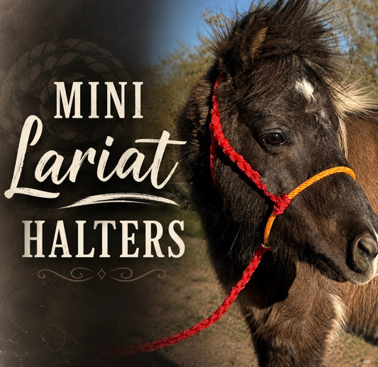 CUSTOM Mini Lariat Halter