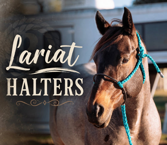 CUSTOM Lariat Halter