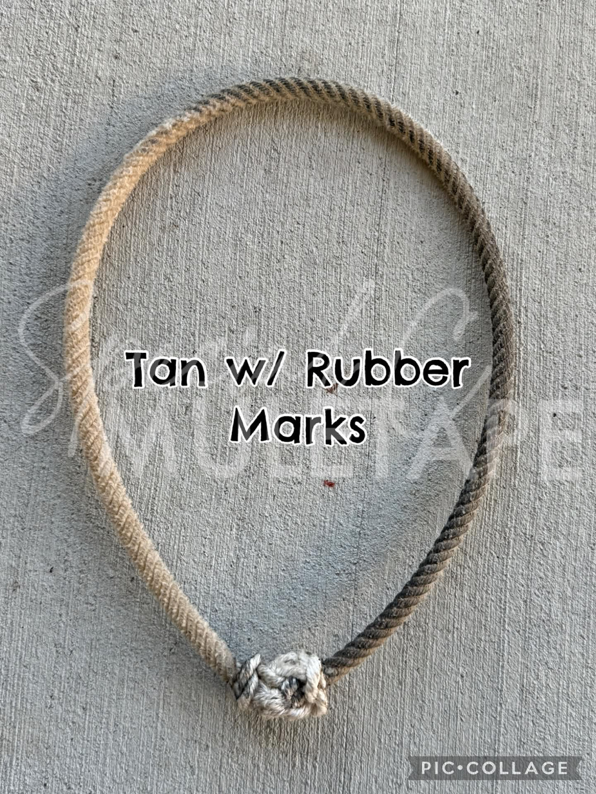 Funky Noseband Sale