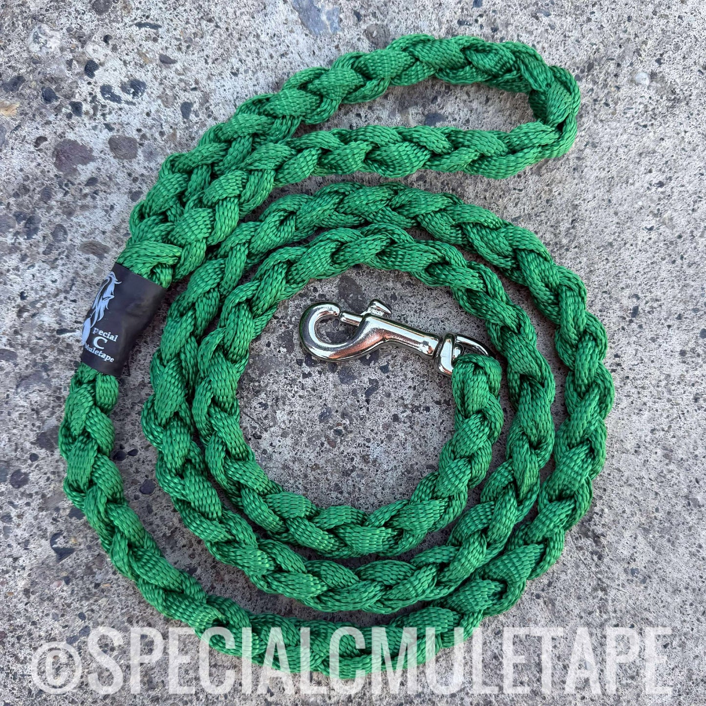 Green 5' Dog Leash