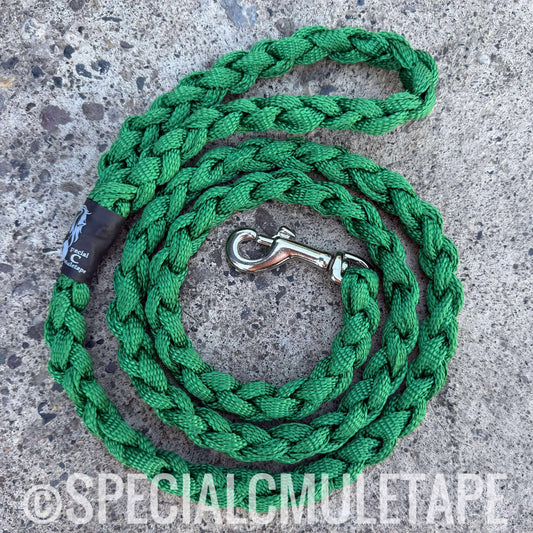 Green 5' Dog Leash