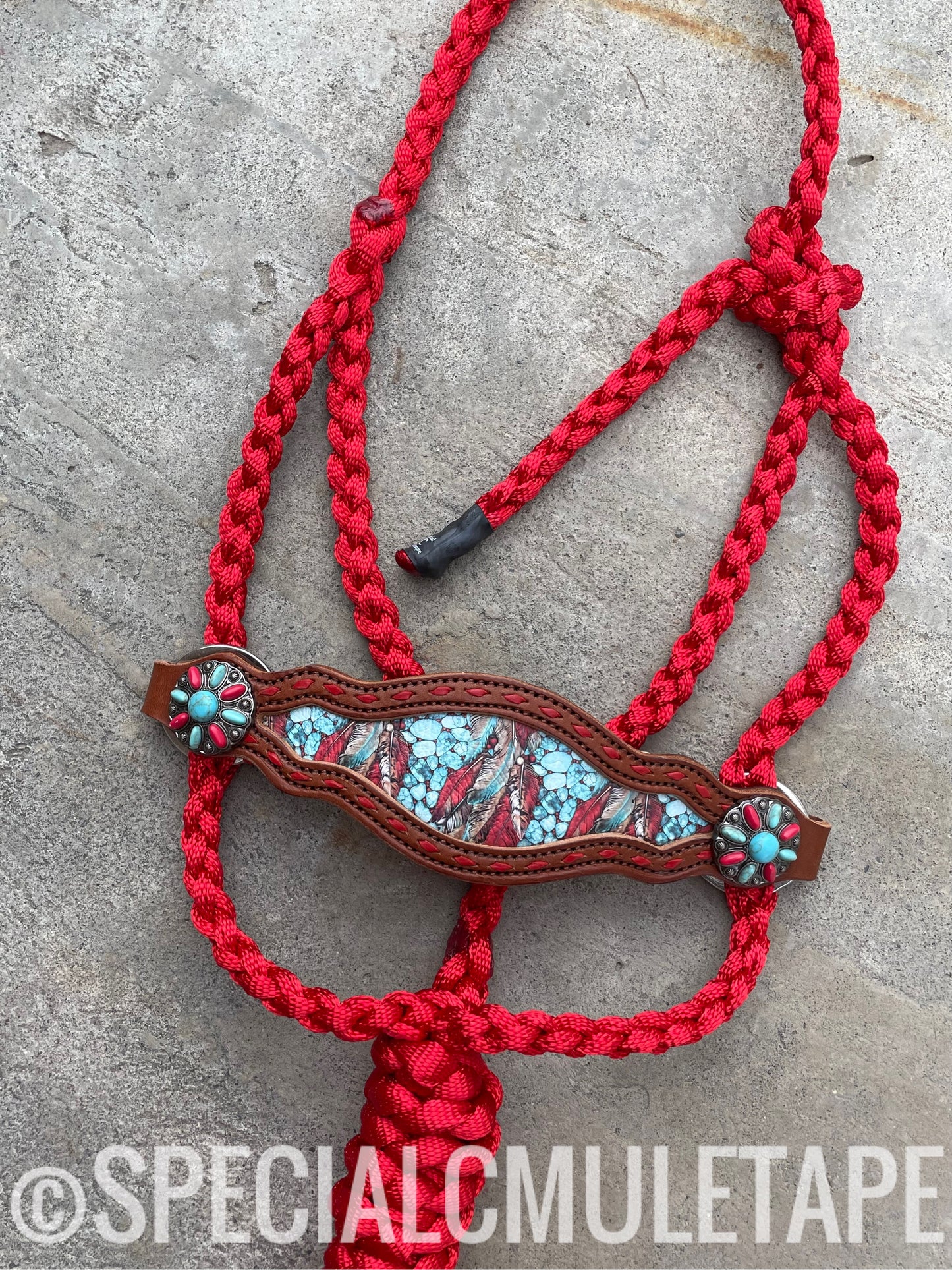 Red Desert Rose Equine Bronc Halter