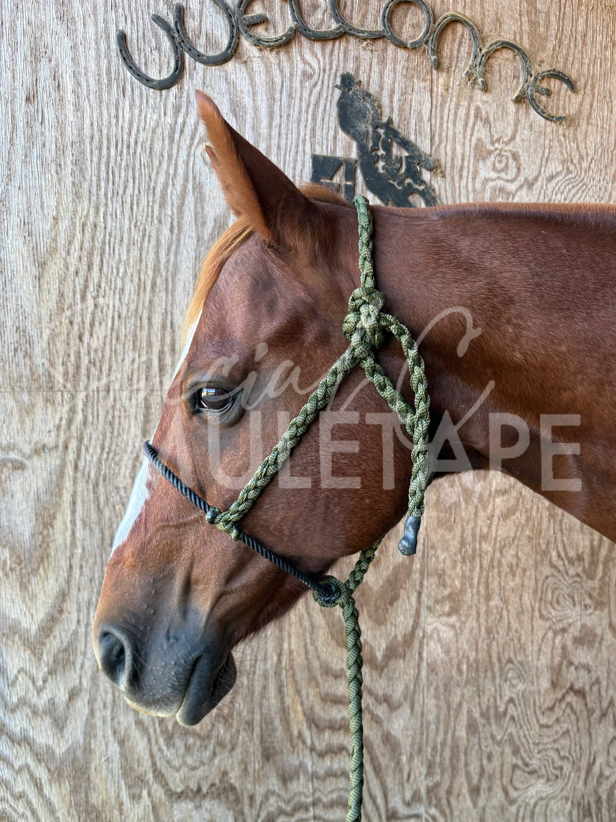 Olive Lariat