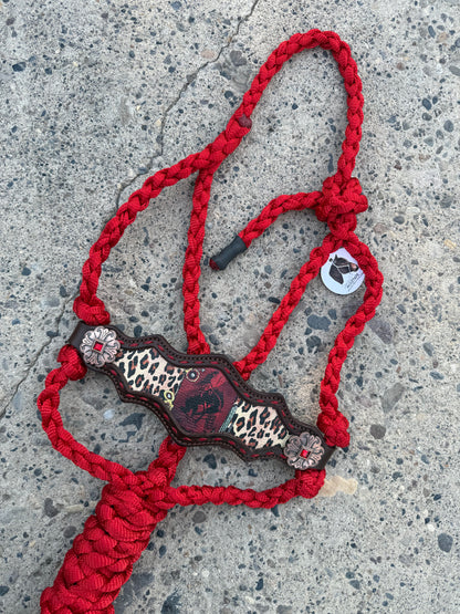 Desert Rose Equine Bronc Halters