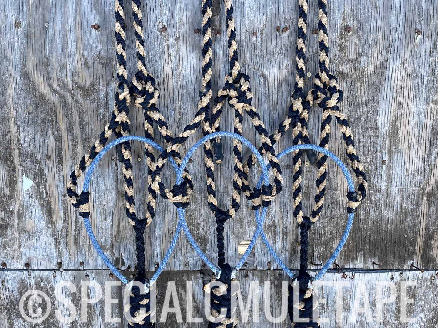 Navy & Sand Lariat Halter