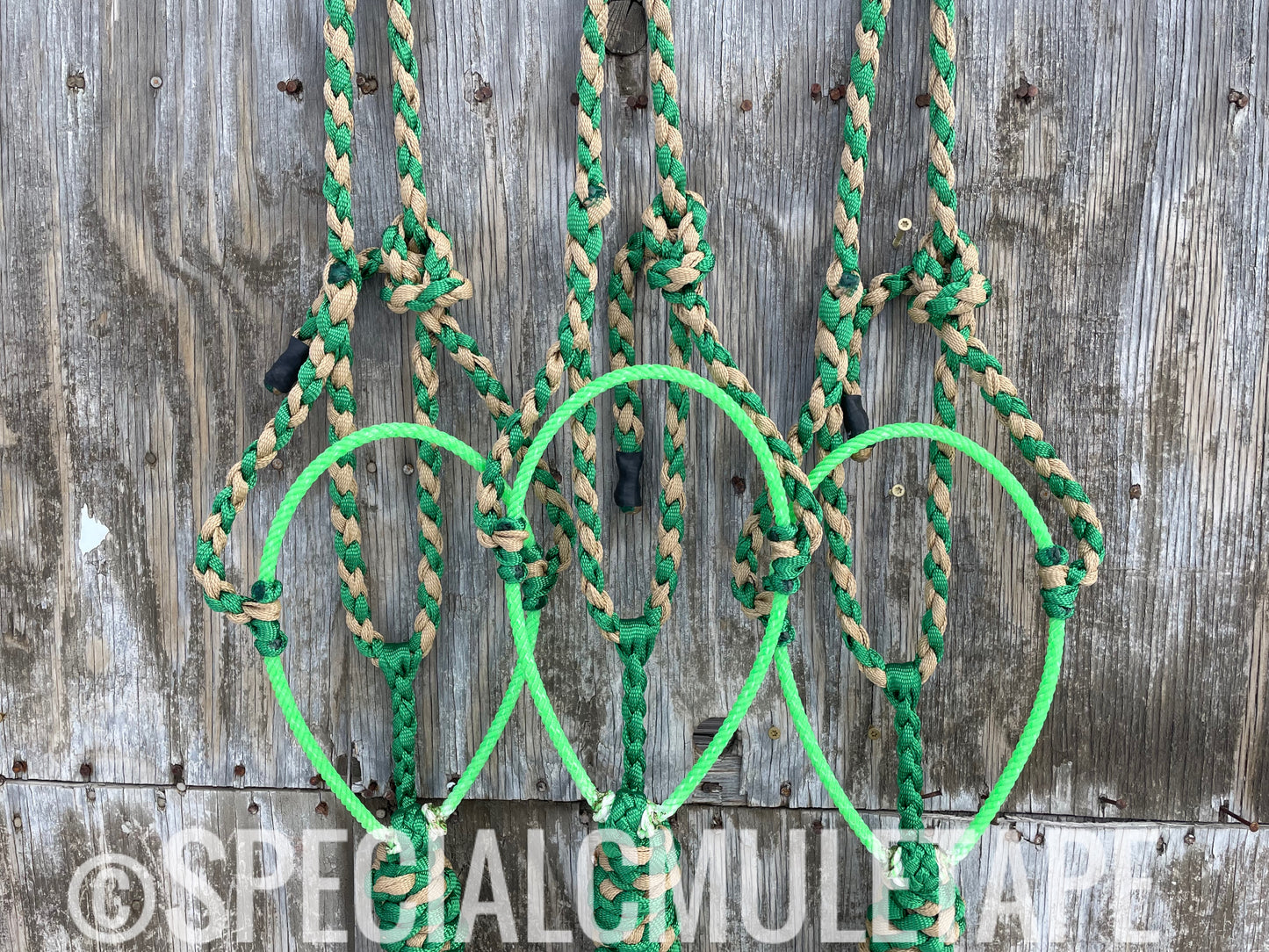 Green & Sand Lariat Halter