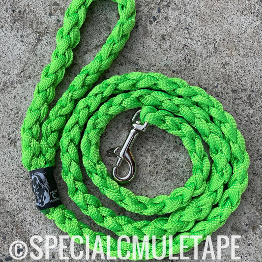 Neon Green 5' Dog Leash