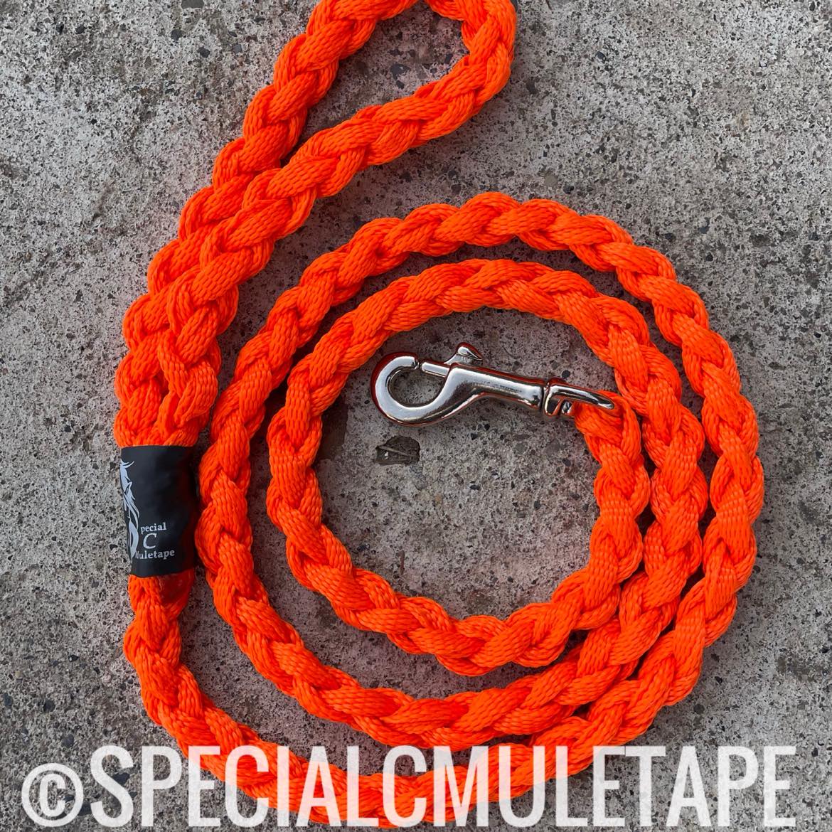 Neon Orange 5' Dog Leash