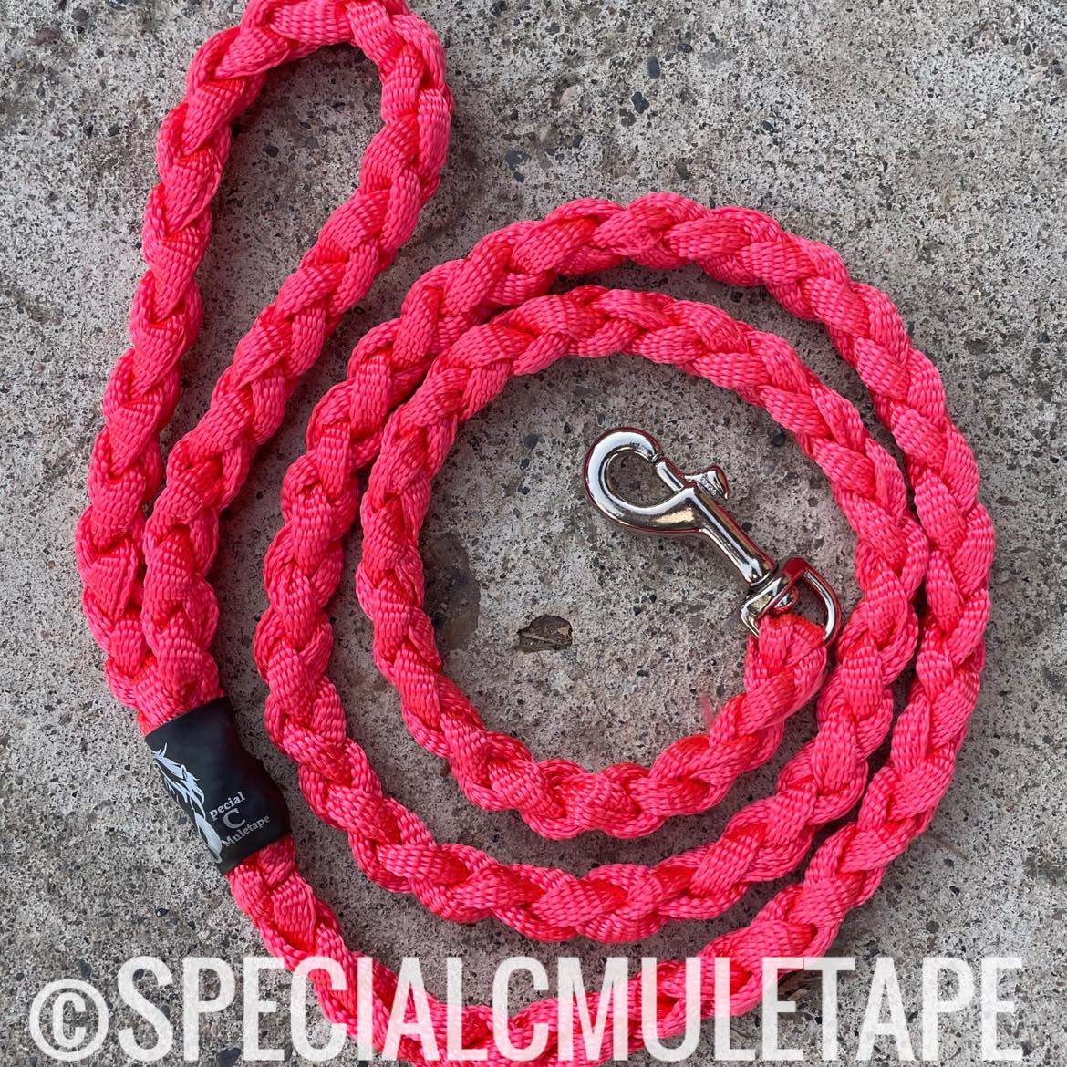 Neon Pink 5' Dog Leash