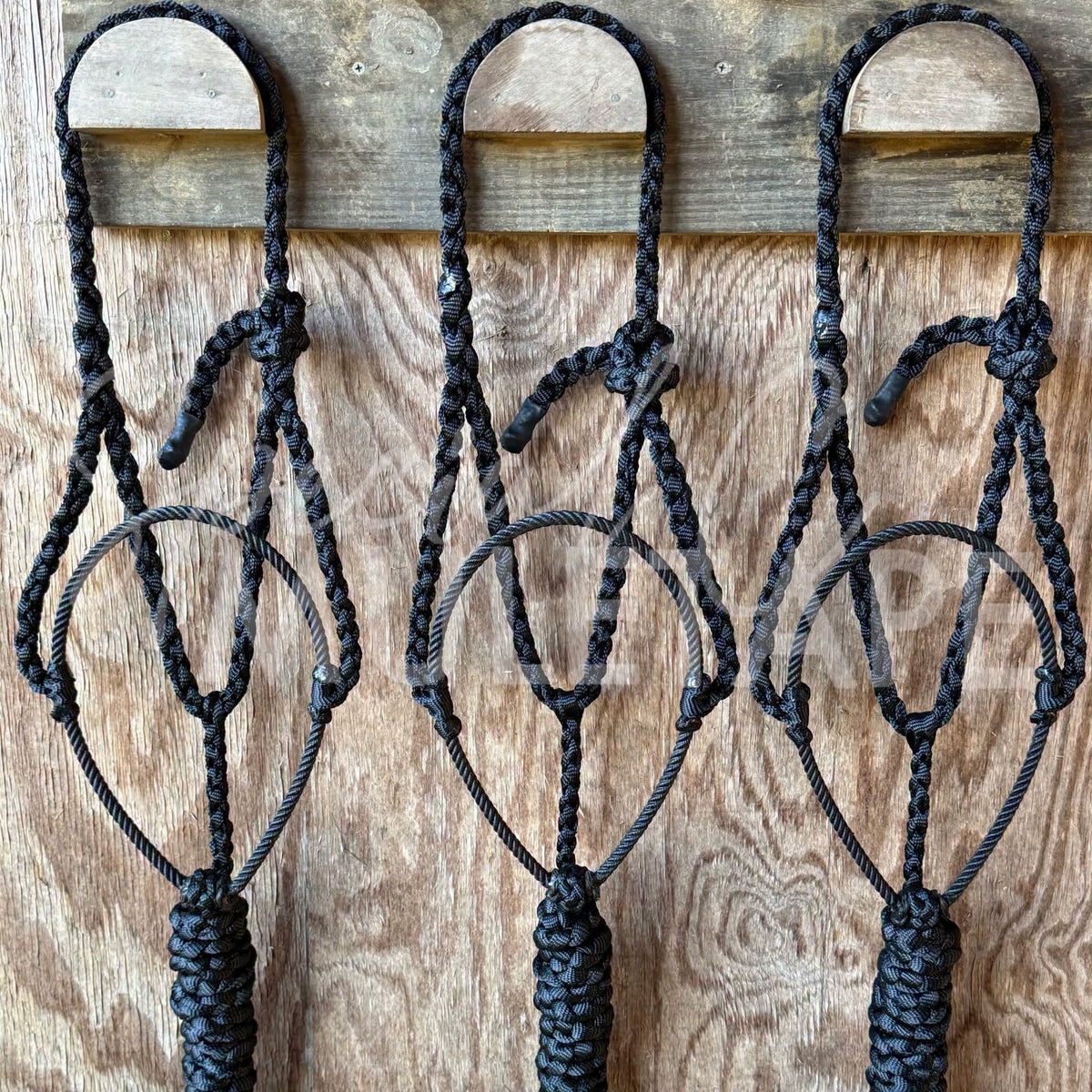 Black Lariat Halter