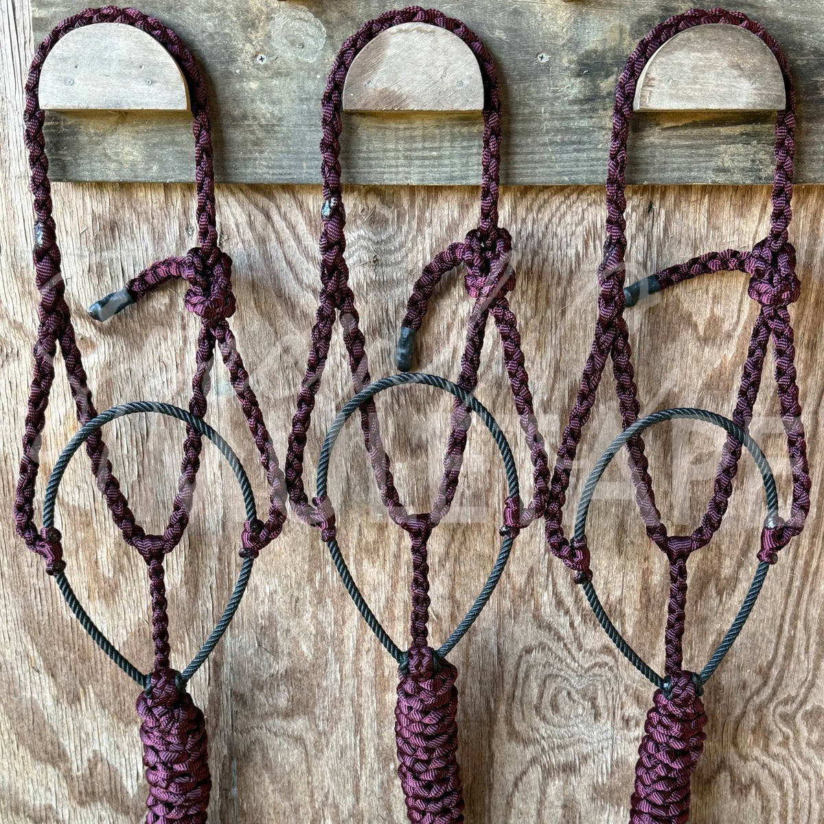 Burgundy Lariat Halter