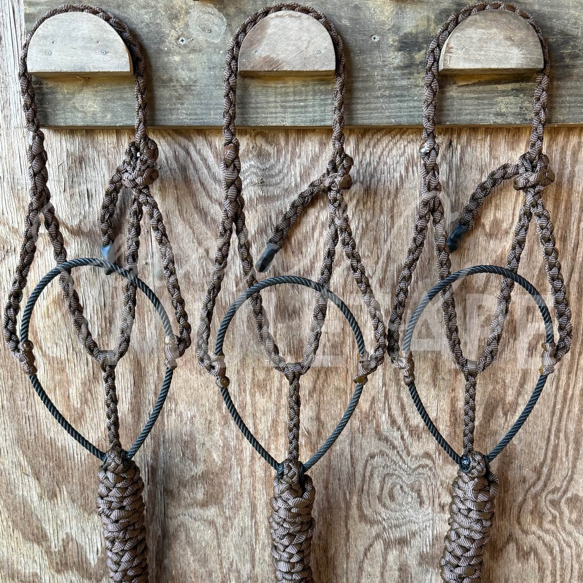 Chocolate Lariat Halter