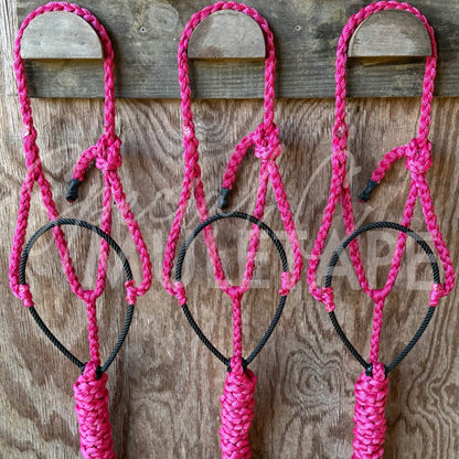 Fuchsia Lariat Halter