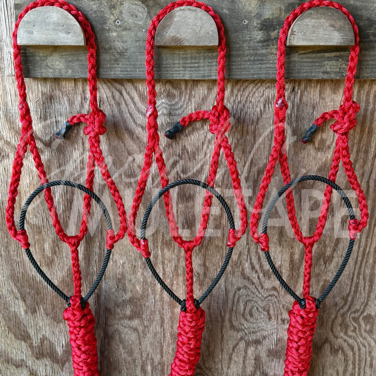 Red Lariat Halter