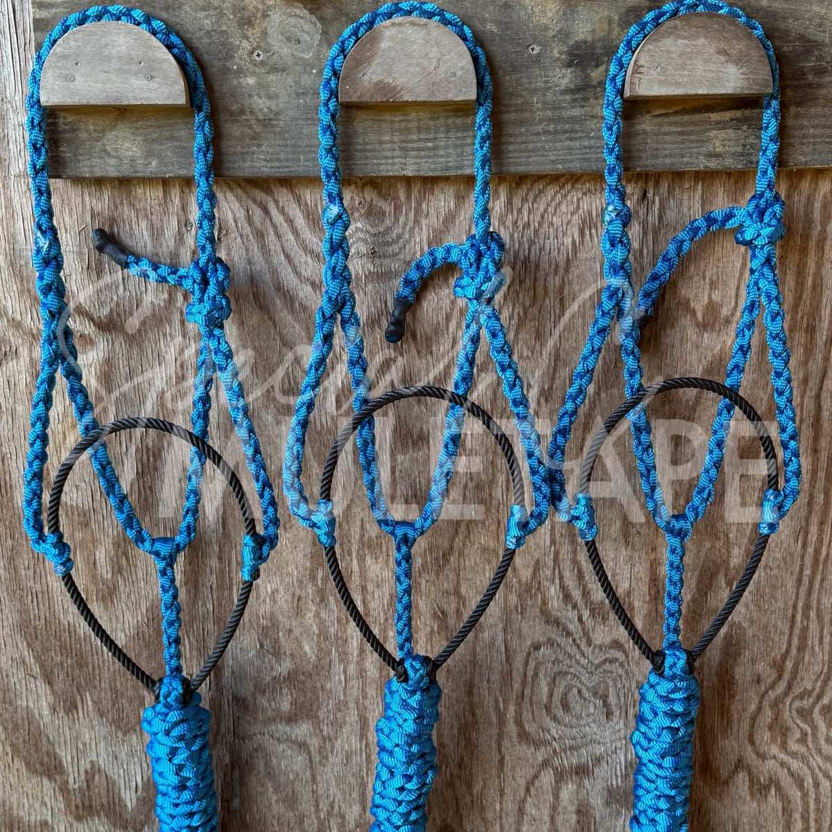 Royal Blue Lariat Halter