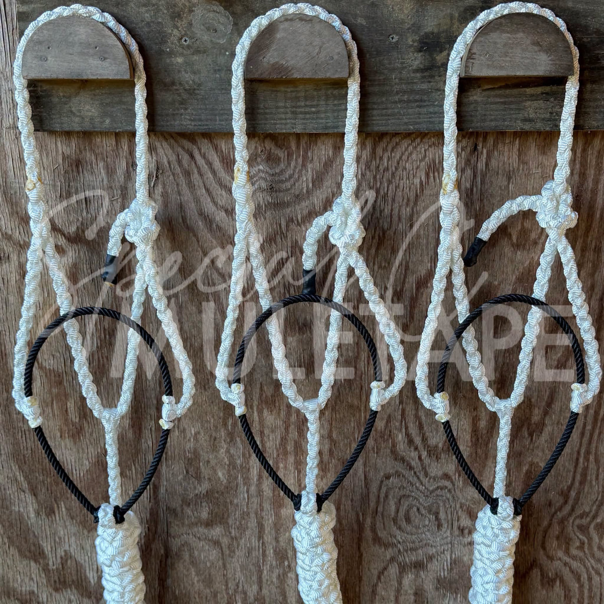 White Lariat Halter