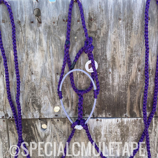 Royal Purple Loping Halter