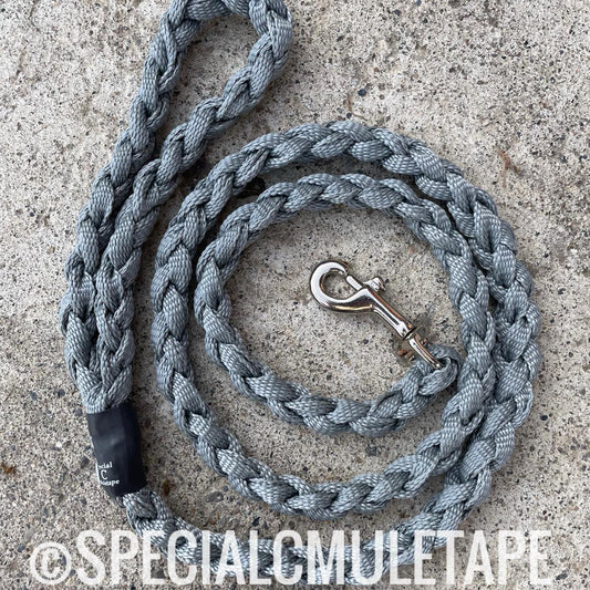 Slate Gray 5' Dog Leash