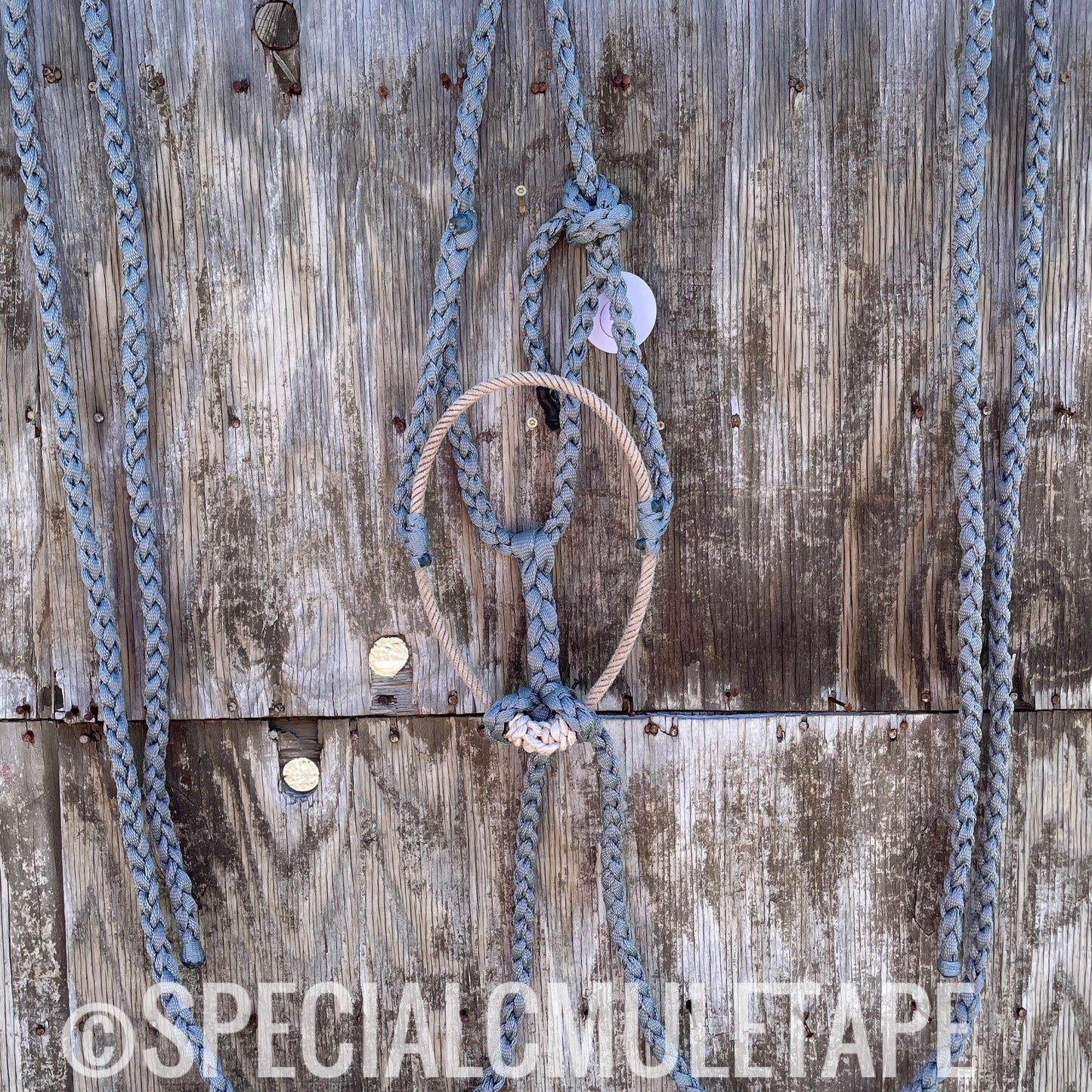 Slate Loping Halter