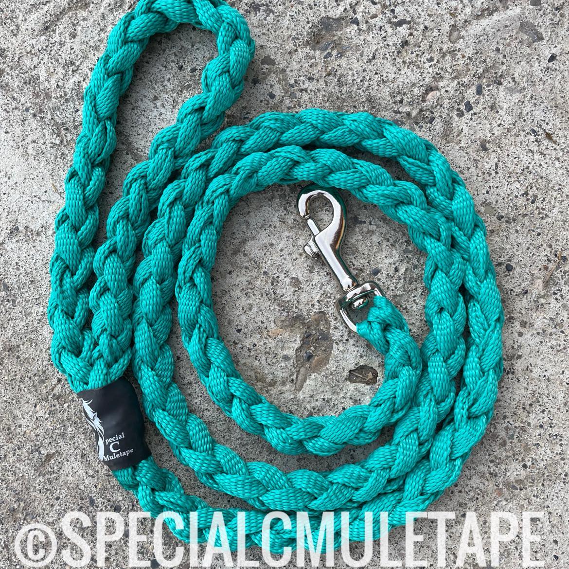 Teal 5' Dog Leash