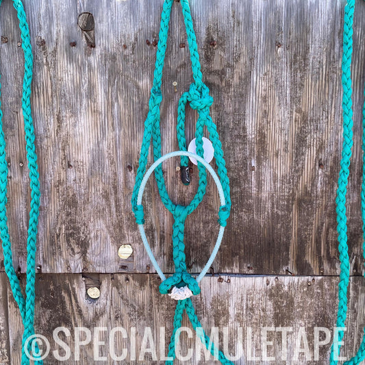 Teal Loping Halter