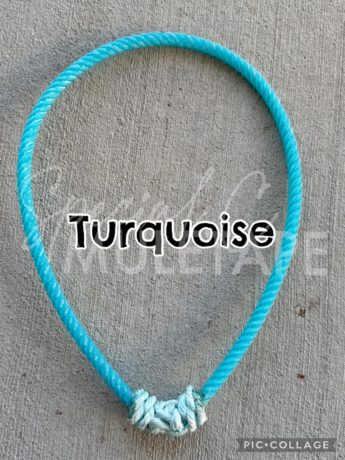 Funky Noseband Sale
