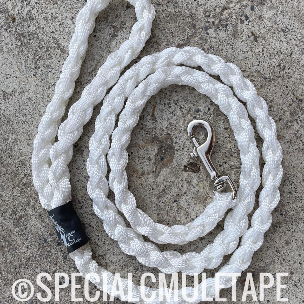 White 5' Dog Leash