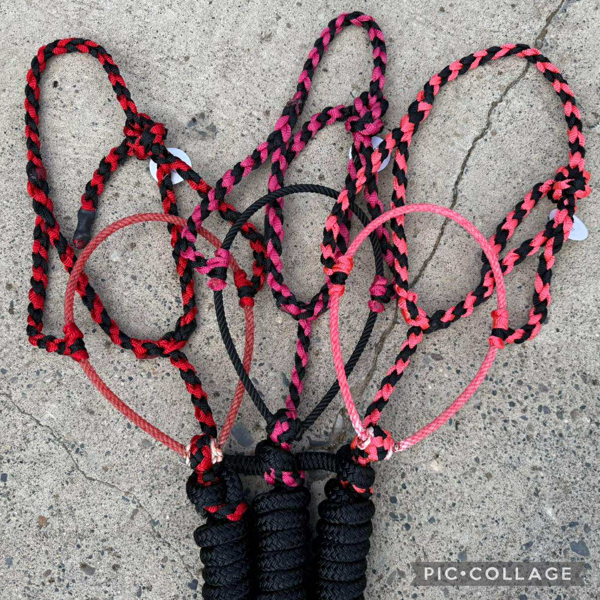 Lariat Halters w/ Yacht Rope Leads